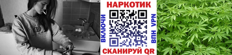 Купить наркотики цена Шагонар Гашиш Cocaine МЕФ Конопля