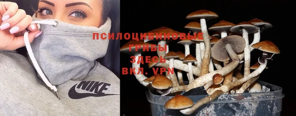 стафф Балабаново