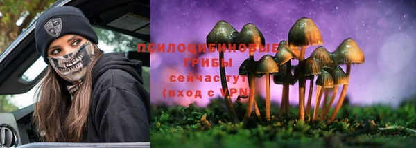 стафф Балабаново