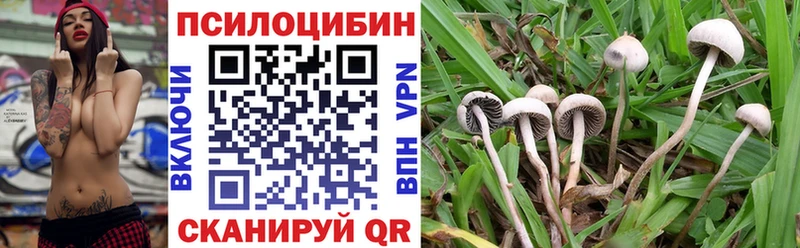 Псилоцибиновые грибы Psilocybine cubensis  Шагонар 