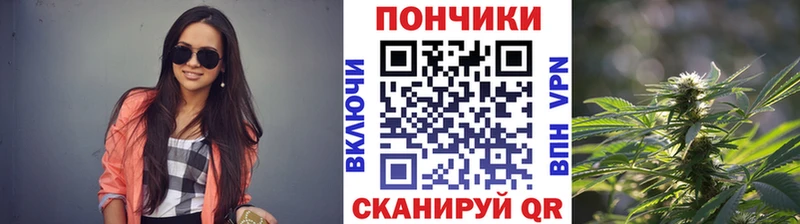 цена наркотик  Шагонар  МАРИХУАНА THC 21% 